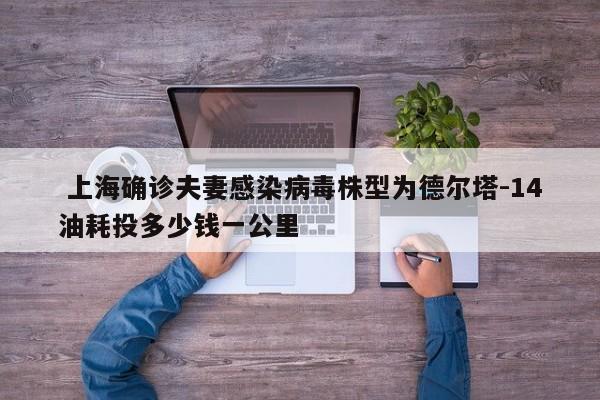 上海确诊夫妻感染病毒株型为德尔塔-14油耗投多少钱一公里